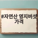 자연산 영지버섯 가격 시세 완벽 정리 자연산 영지버섯 가격