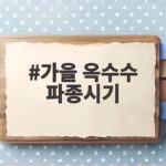 가을 옥수수 파종시기와 재배법 한눈에 정리 가을 옥수수 파종시기