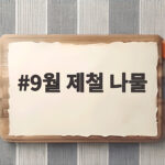 9월 제철 나물