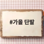가을 단발 2026년 무게감 있는 스타일 추천 가을 단발