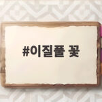 이질풀 꽃 피는 시기와 특징 한눈에 이질풀 꽃