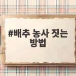 배추 농사 짓는 방법