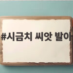 시금치 씨앗 발아 방법과 가을 파종 시기 시금치 씨앗 발아