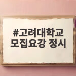 고려대학교 모집요강 정시