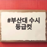 부산대 수시 등급컷 합격선 분석 부산대 수시 등급컷