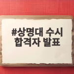 상명대 수시 합격자 발표 일정 상명대 수시 합격자 발표