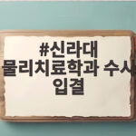 신라대 물리치료학과 수시 입결 3등급 가능할까 신라대 물리치료학과 수시 입결