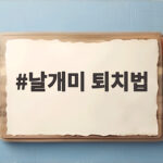 날개미 퇴치법 총정리 날개미 퇴치법