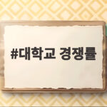 대학교 경쟁률 제대로 읽는 법 대학교 경쟁률