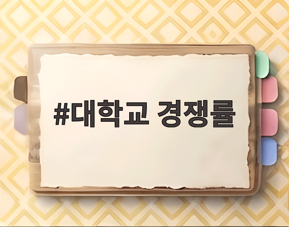 대학교 경쟁률