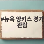 뉴욕 양키스 경기 관람