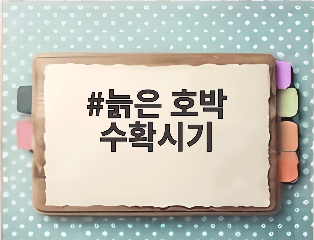 늙은 호박 수확시기
