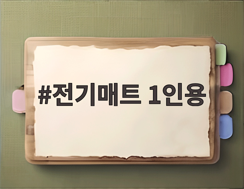 전기매트 1인용