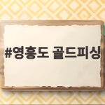 영흥도 골드피싱 배낚시 후기 영흥도 골드피싱