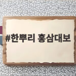 한뿌리 홍삼대보
