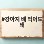 강아지 배 먹어도 돼 급여량과 주의점 강아지 배 먹어도 돼