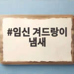 임신 겨드랑이 냄새