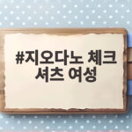 지오다노 체크 셔츠 여성