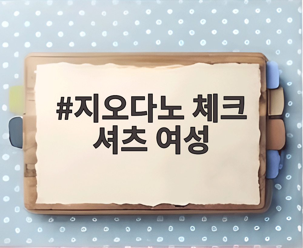지오다노 체크 셔츠 여성
