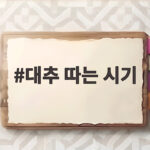 대추 따는 시기 생대추와 건대추 구분 수확법 대추 따는 시기