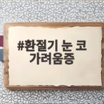 환절기 눈 코 가려움증