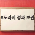 도라지 정과 보관 도라지 정과 보관