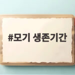 모기 생존기간 계절별 변화와 실내 생존 이유 모기 생존기간