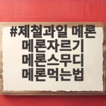 제철과일 메론 메론자르기 메론스무디 메론먹는법