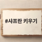 샤프란 키우기