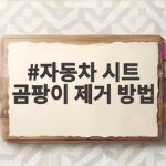 자동차 시트 곰팡이 제거 방법