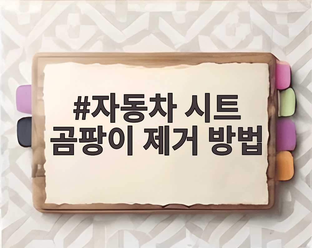자동차 시트 곰팡이 제거 방법