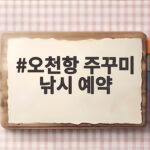 오천항 주꾸미 낚시 예약 성공하기 오천항 주꾸미 낚시 예약