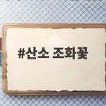 산소 조화꽃 실패 없는 선택과 관리법 산소 조화꽃
