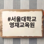 서울대학교 영재교육원 지원자격 총정리 서울대학교 영재교육원