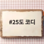25도 코디