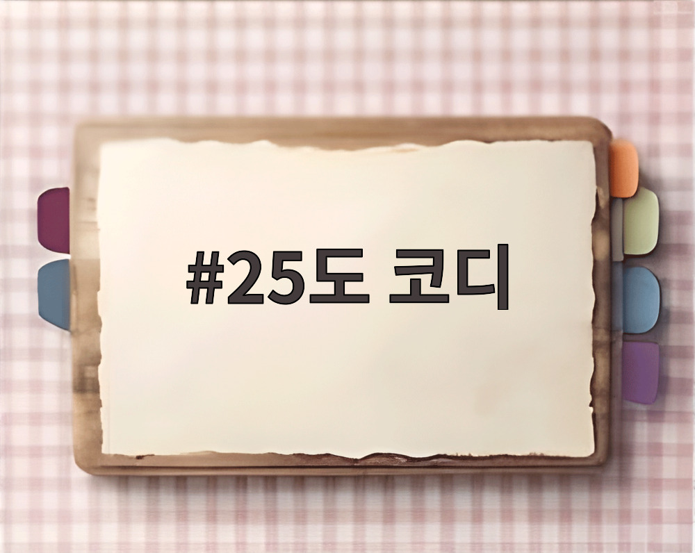 25도 코디