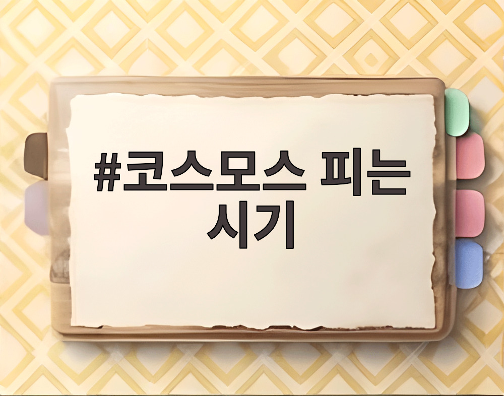 코스모스 피는 시기