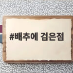 배추에 검은점이 보일 때 깨씨무늬와 부패 구분하는 방법 배추에 검은점