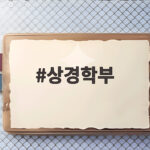 상경학부 입시 전략과 졸업 후 진로 알아보기 상경학부