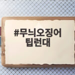 무늬오징어 팁런대