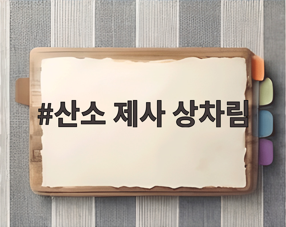 산소 제사 상차림