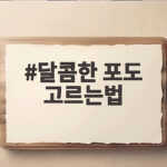 달콤한 포도 고르는법