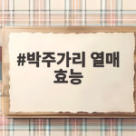 박주가리 열매 효능