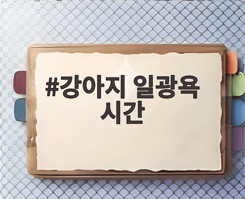 강아지 일광욕 시간