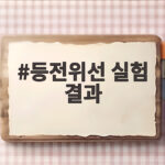 등전위선 실험 결과 오차 줄이는 법 등전위선 실험 결과