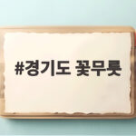 경기도 꽃무릇 만나러 가는 가을 여행 경기도 꽃무릇