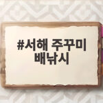 서해 주꾸미 배낚시 성공 출조 준비 서해 주꾸미 배낚시
