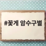 꽃게 암수구별 배딱지로 3초만에 확인하는 방법 꽃게 암수구별