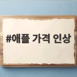 애플 가격 인상 맥북 아이패드 인상 총정리 애플 가격 인상