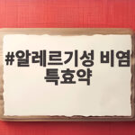 알레르기성 비염 특효약